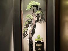 -觀芷隐轩