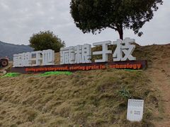 -艾米稻香小镇