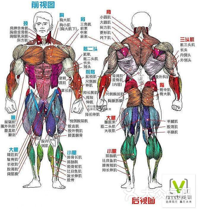 viking age 维京健身俱乐部