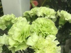 -亭亭鲜花店(中山北路店)