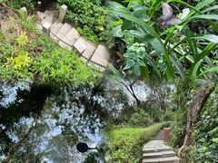 -水濂山森林公园