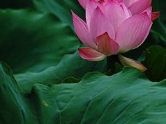 -中粮万科长阳半岛