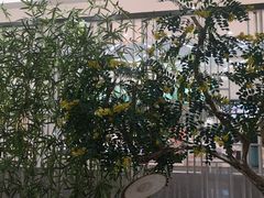 -绿岛港轩海鲜烤肉涮锅自助餐厅