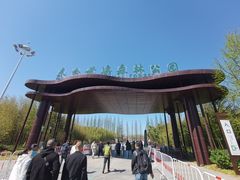 -黄海国家森林公园