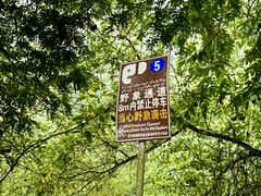 -野象谷景区