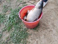 -瑶湖郊野森林公园