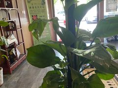 -北纬37°SPA养身会馆(湖西店)