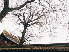 -虞山风景区