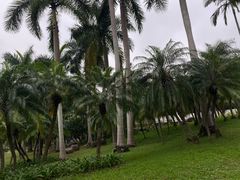 -人民公园(罗湖区)