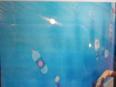 -沈阳海洋探索中心