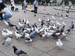 -大连人民广场