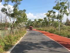 -上海长兴岛郊野公园