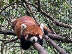 -普洱太阳河森林公园
