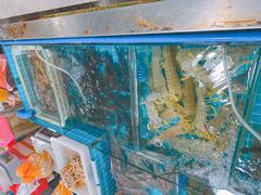 -三亚新鸿港水果一级批发市场