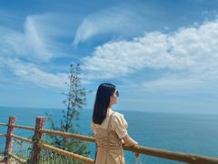 -广东惠东海龟国家级自然保护区