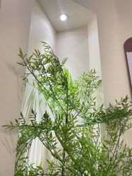 点击看大图 -爱因宝产后修复中心(义乌之心店)