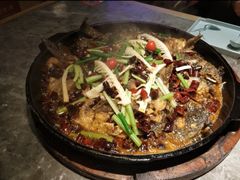 -老板恋上鱼(恒隆广场店)