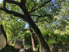 -宁波市保国寺古建筑博物馆