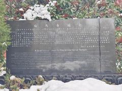 -洛阳白马寺