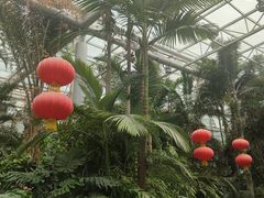 -郑州植物园