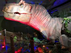 -恐龙探索乐园(磁器口店)