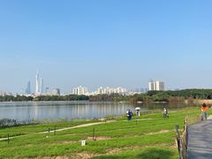 -海珠湖公园