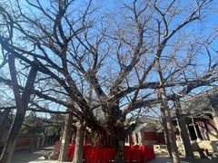-浮来山风景区