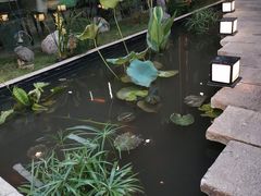 -嘉缤苑