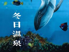 -国信南山温泉