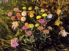 -花锦堂·隐庐