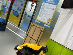 -童程童美·信息学竞赛·乐高机器人编程(萝岗校区)
