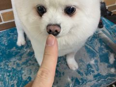 -安安宠医宠物医院·异宠·犬猫内科(岳阳分院)