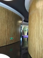 -比华利美容医院