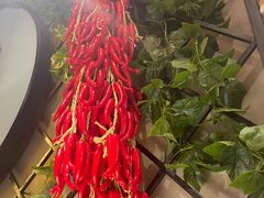 -雲蜀龙阁·金牌水煮鱼(方庄店)