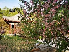 -元大都城垣遗址公园