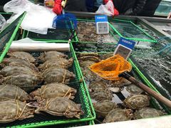 -盒马鲜生(大成店)
