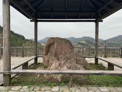 -四明山国家森林公园