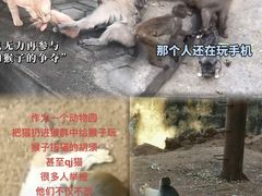 -昆明动物园