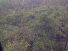 iphone_upload_pic-天柱山风景区