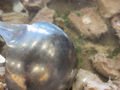 -香顺·客家菜(东坑店)