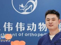 -伟伟宠物医院·CT影像中心·瑞派犬猫综合性门诊(汉口总院)