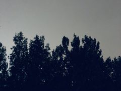 -山东师范大学(千佛山校区)