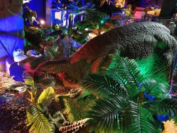 -恐龙探索乐园(磁器口店)