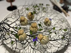 -桂满陇·海市蜃楼·黑金(国金店)