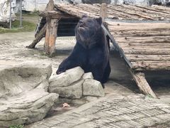 -黔灵山公园