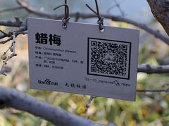 -无锡梅园公园