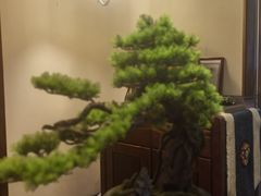 -鼎族怡华·指压·油压·经络(西单昌盛大厦店)