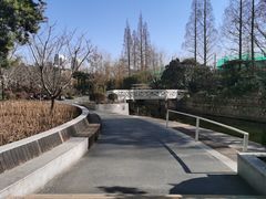 -兰溪青年公园