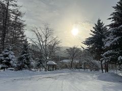 -横道河子东北虎林园