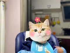 -贝紫Style(木马公寓店)